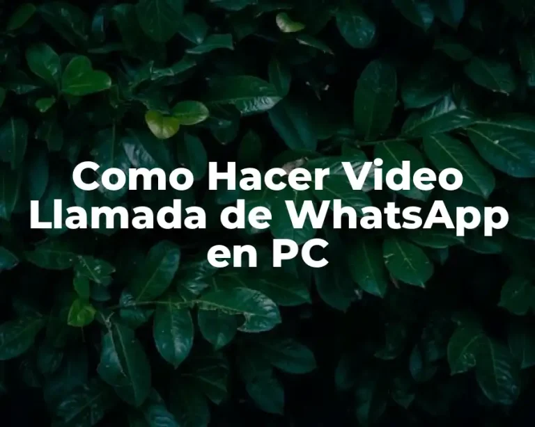 Como Hacer Video Llamada de WhatsApp en PC