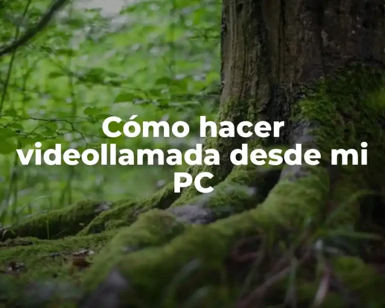 Cómo hacer videollamada desde mi PC