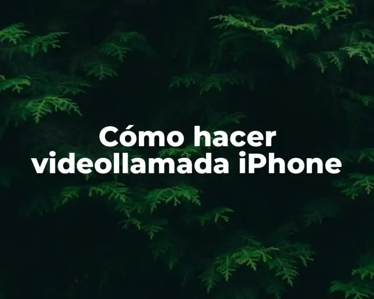 Cómo hacer videollamada iPhone
