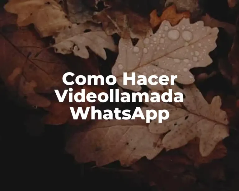 Como Hacer Videollamada WhatsApp