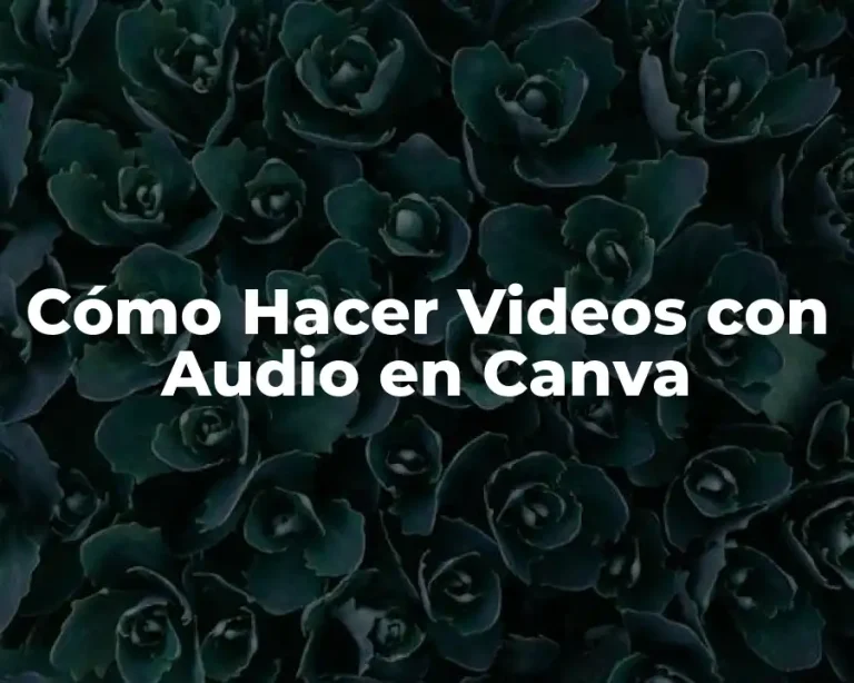 Cómo Hacer Videos con Audio en Canva