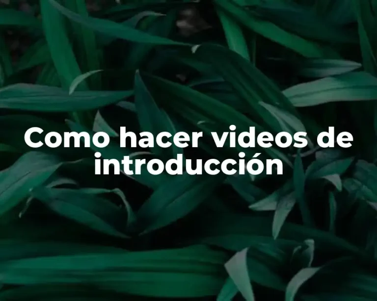 Como hacer videos de introducción