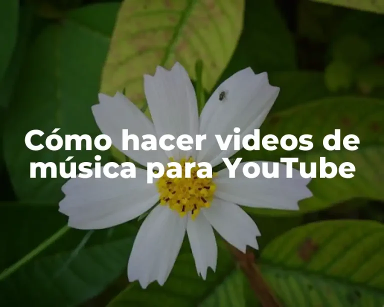 Cómo hacer videos de música para YouTube