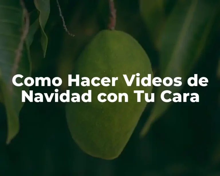 Como Hacer Videos de Navidad con Tu Cara