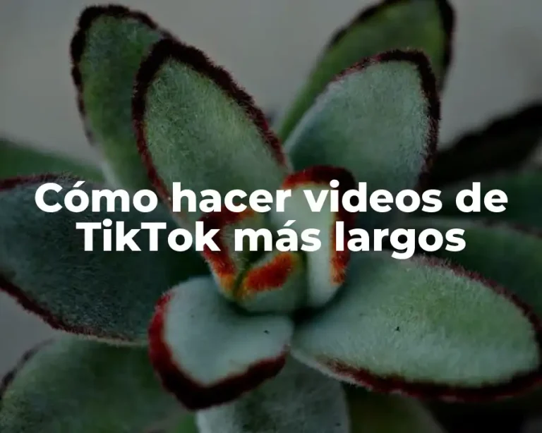 Cómo hacer videos de TikTok más largos