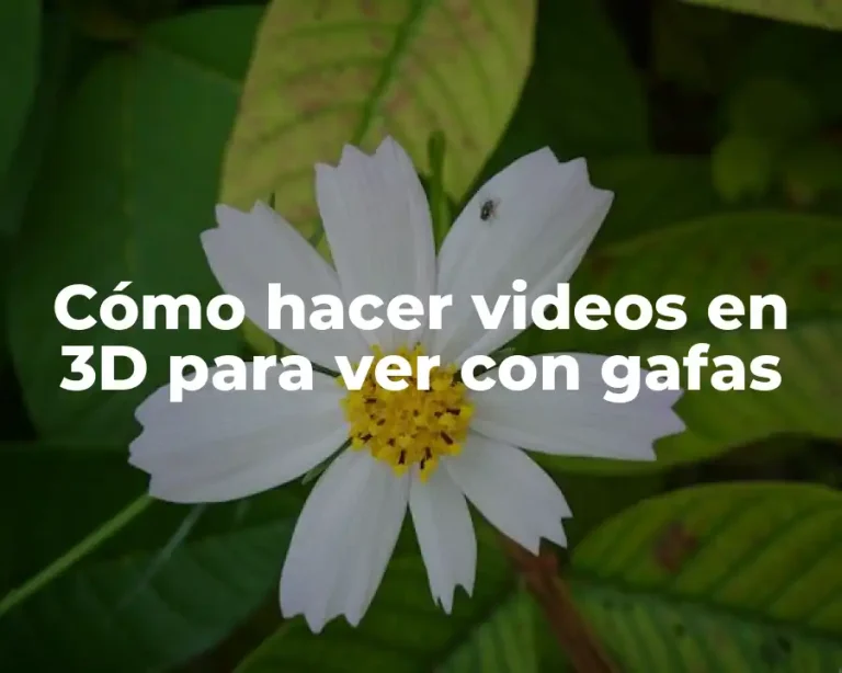Cómo hacer videos en 3D para ver con gafas