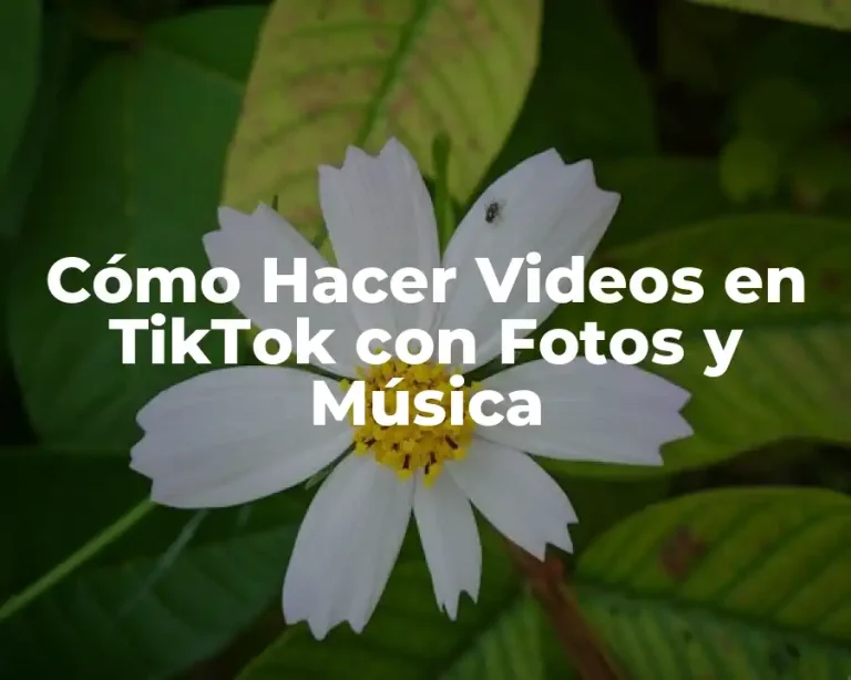 Cómo Hacer Videos en TikTok con Fotos y Música