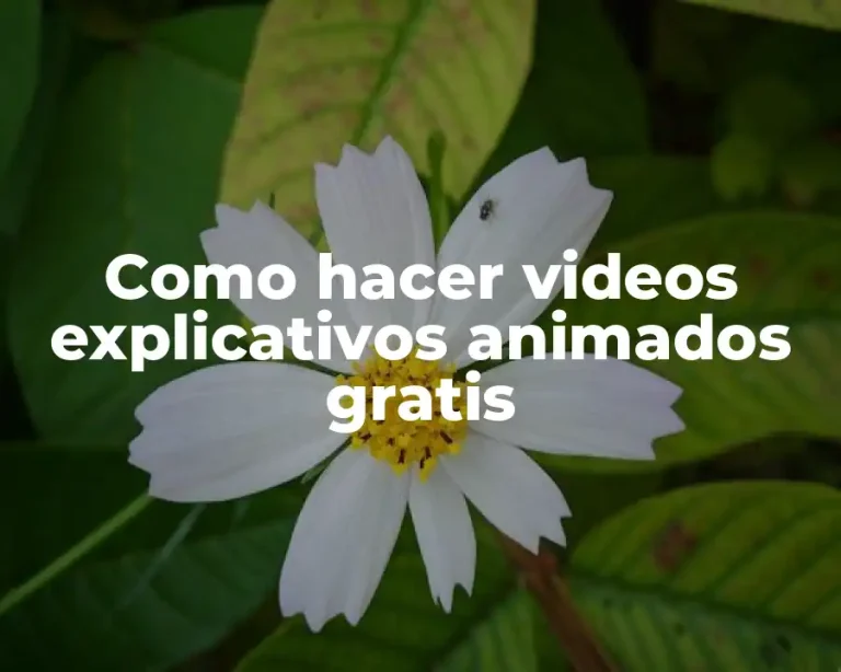 Como hacer videos explicativos animados gratis