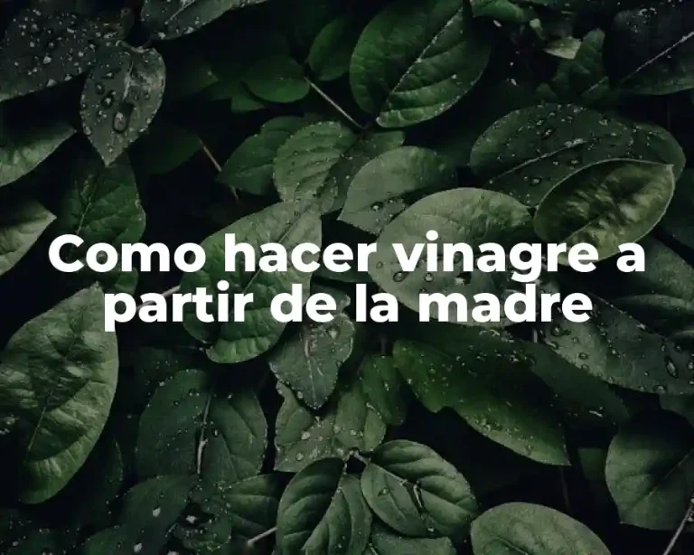 Como hacer vinagre a partir de la madre