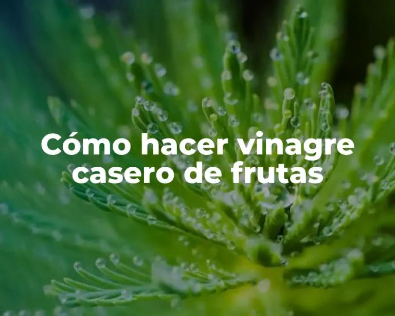 Cómo hacer vinagre casero de frutas