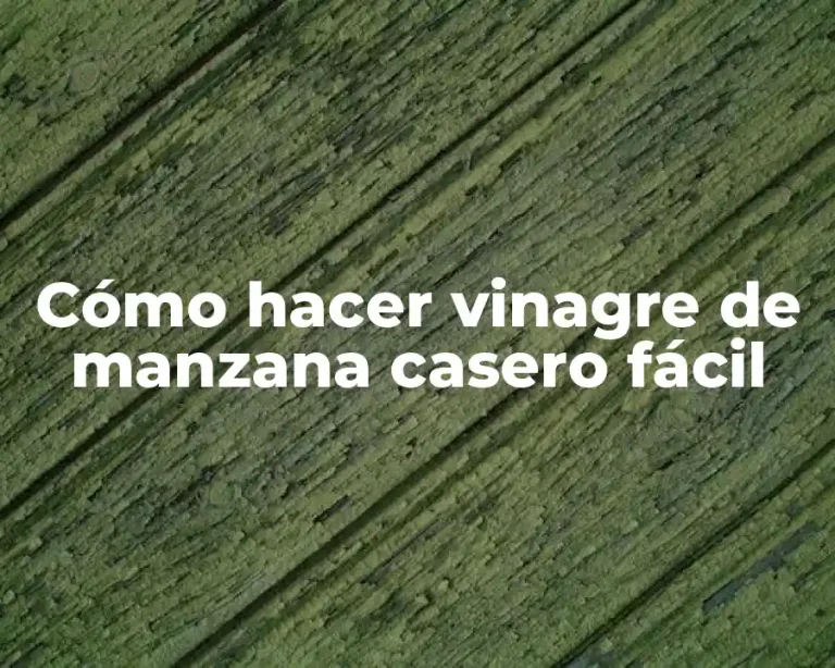 Cómo hacer vinagre de manzana casero fácil