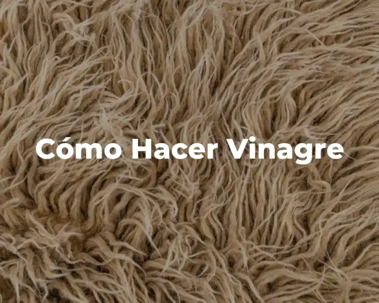 Cómo Hacer Vinagre