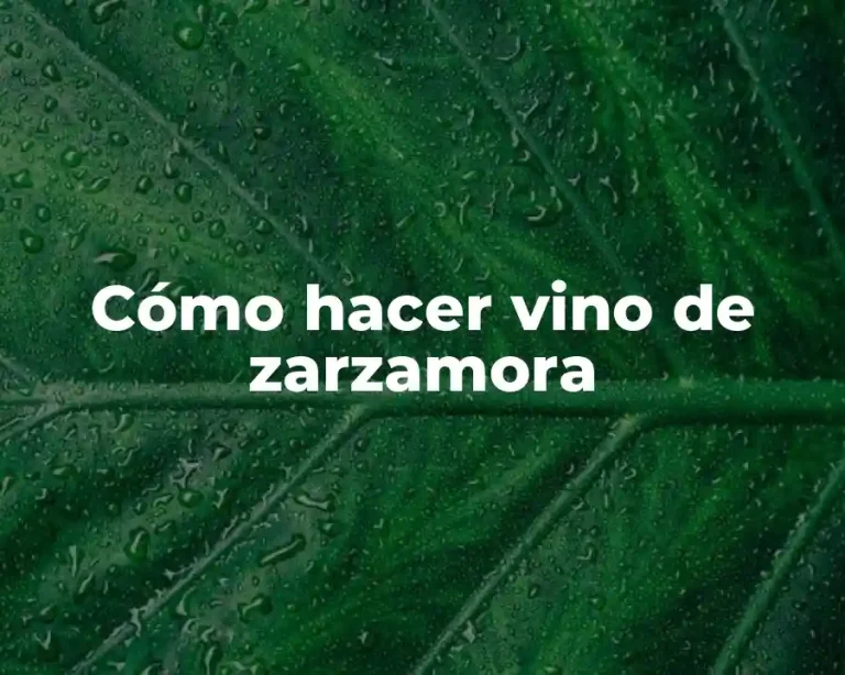 Cómo hacer vino de zarzamora