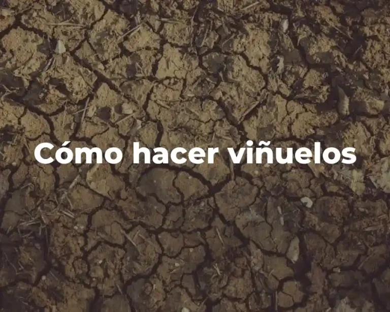 Cómo hacer viñuelos