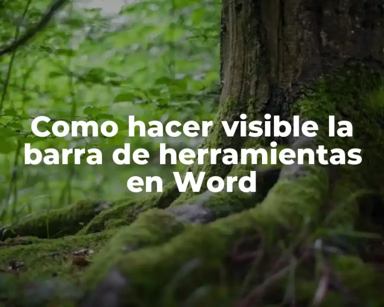 Como hacer visible la barra de herramientas en Word