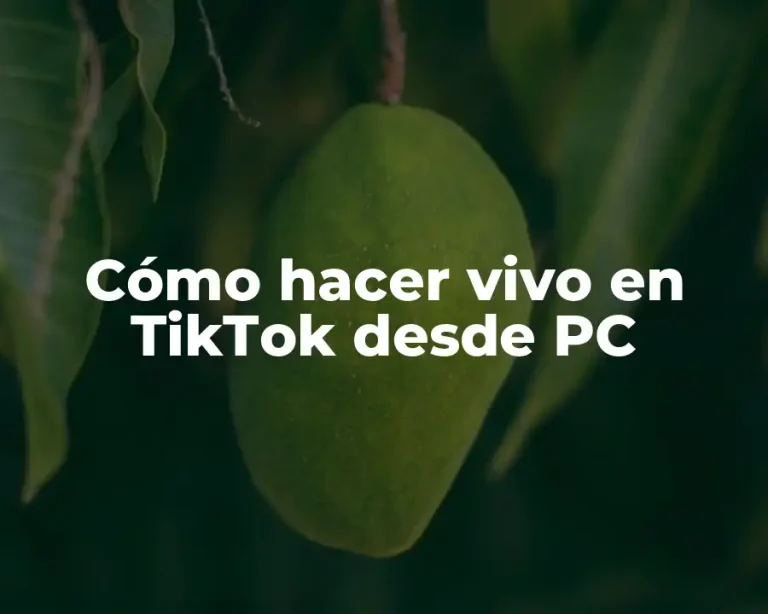 Cómo hacer vivo en TikTok desde PC