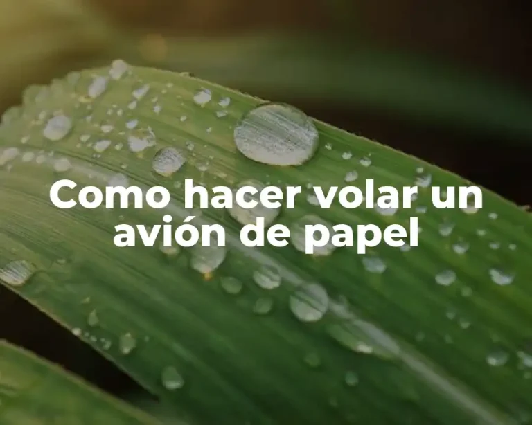 Como hacer volar un avión de papel