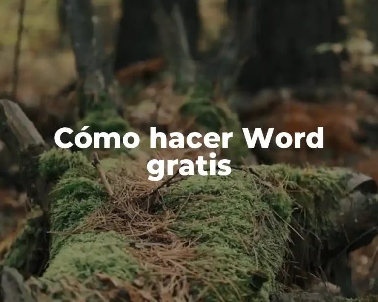 Cómo hacer Word gratis