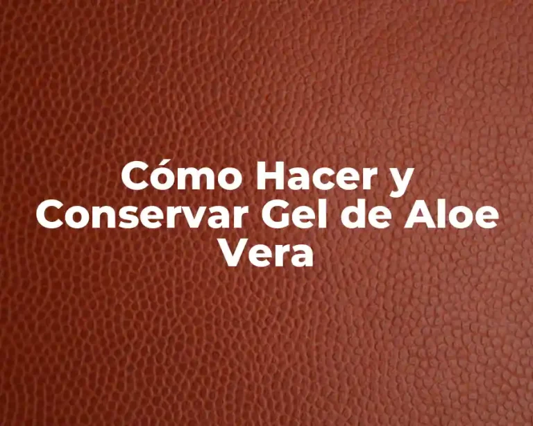 Cómo Hacer y Conservar Gel de Aloe Vera