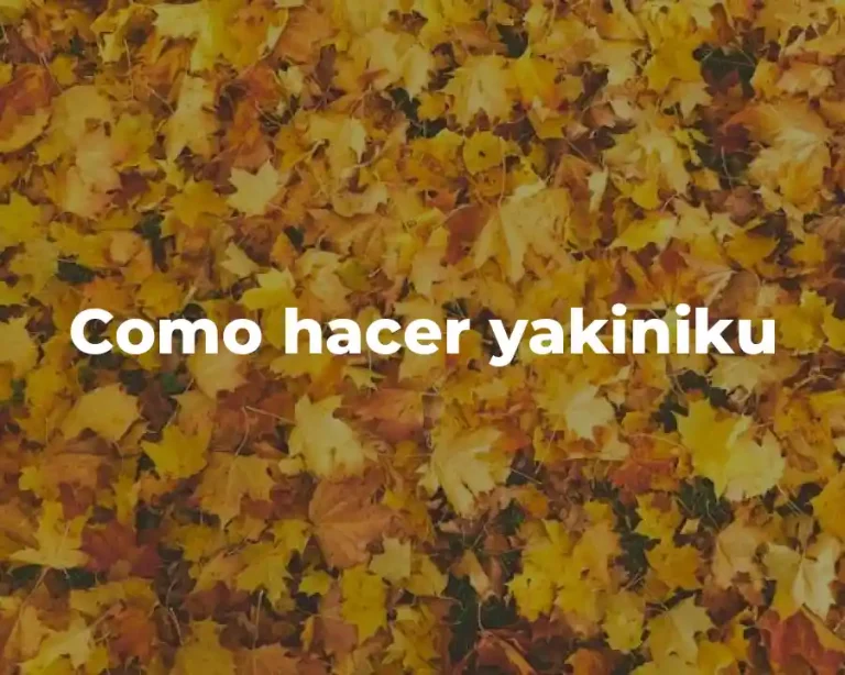 Como hacer yakiniku