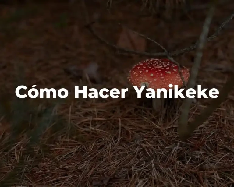 Cómo Hacer Yanikeke