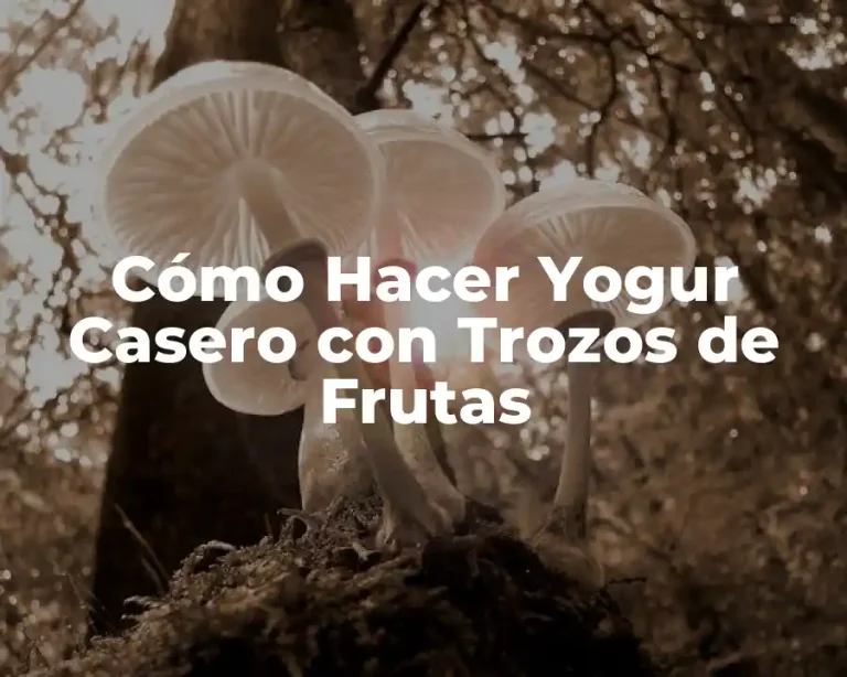 Cómo Hacer Yogur Casero con Trozos de Frutas