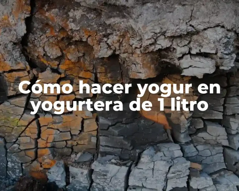 Cómo hacer yogur en yogurtera de 1 litro