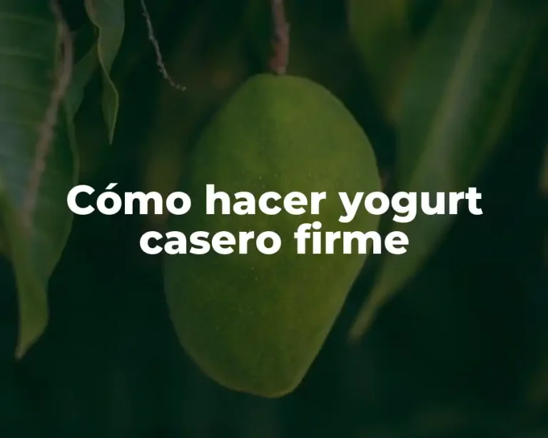 Cómo hacer yogurt casero firme