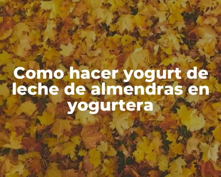 Como hacer yogurt de leche de almendras en yogurtera