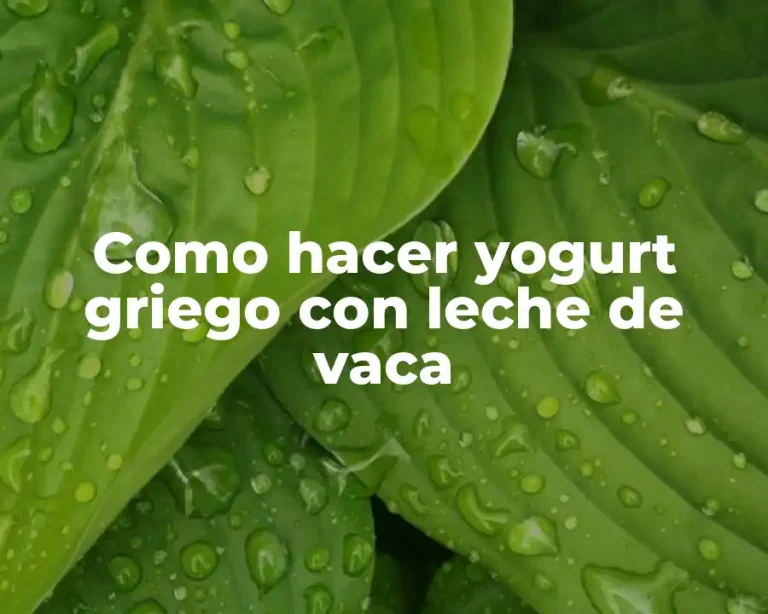 Como hacer yogurt griego con leche de vaca