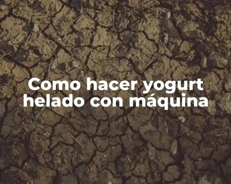Como hacer yogurt helado con máquina