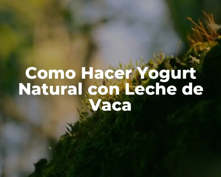 Como Hacer Yogurt Natural con Leche de Vaca