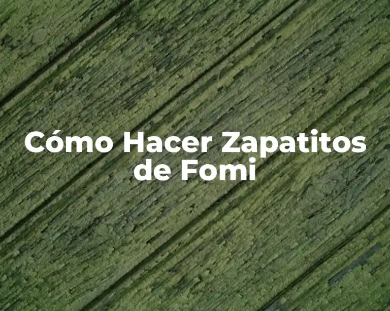 Cómo Hacer Zapatitos de Fomi