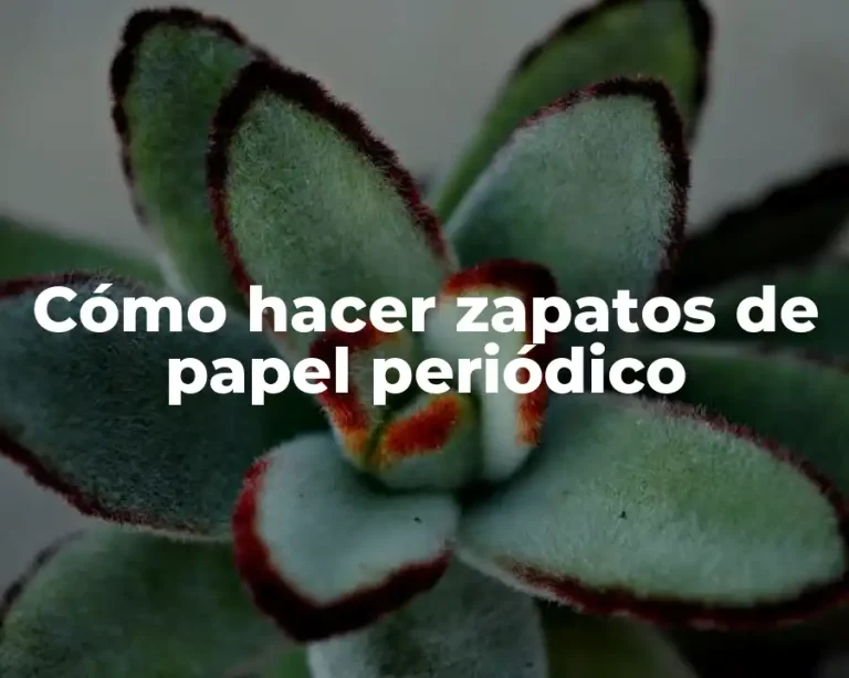 Cómo hacer zapatos de papel periódico