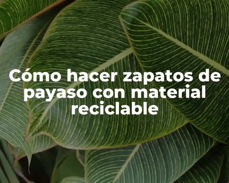 Cómo hacer zapatos de payaso con material reciclable