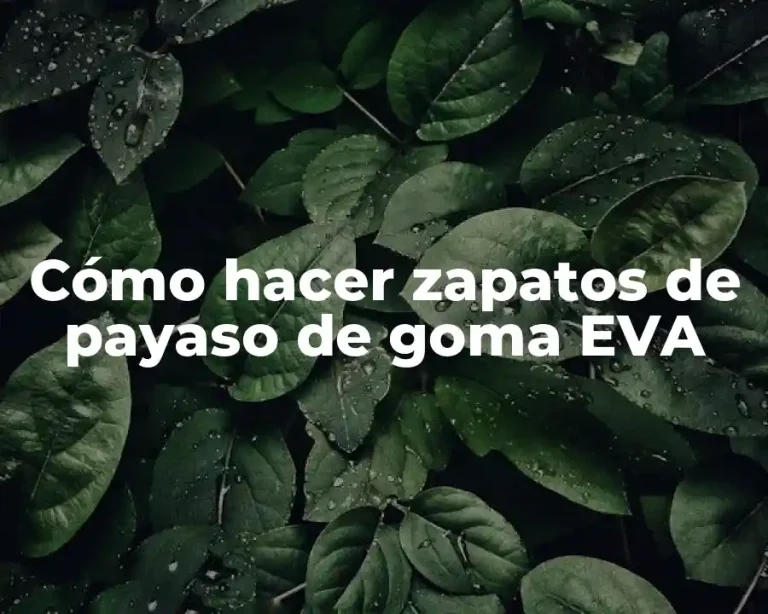 Cómo hacer zapatos de payaso de goma EVA