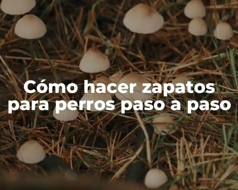 Cómo hacer zapatos para perros paso a paso