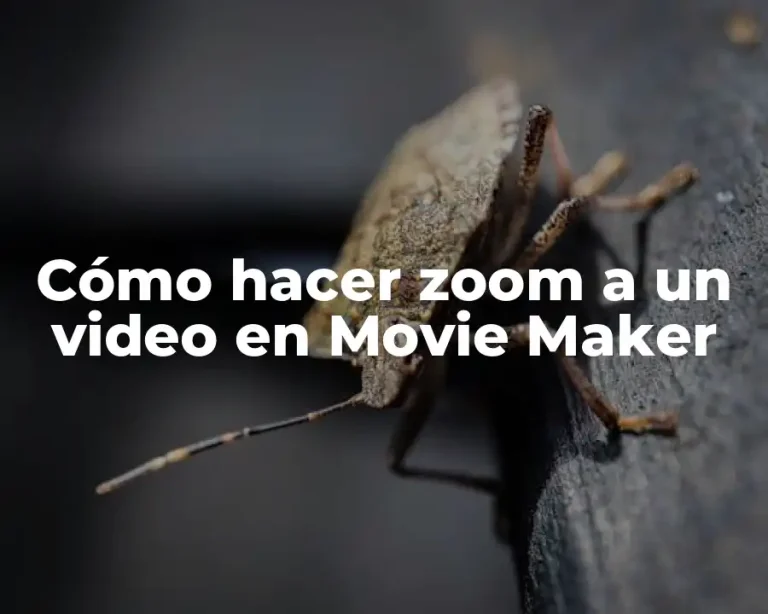 Cómo hacer zoom a un video en Movie Maker