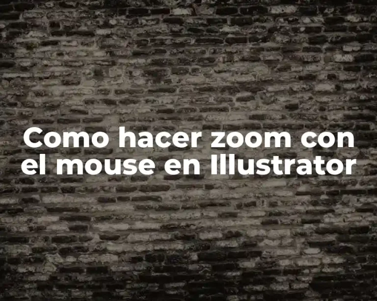 Como hacer zoom con el mouse en Illustrator