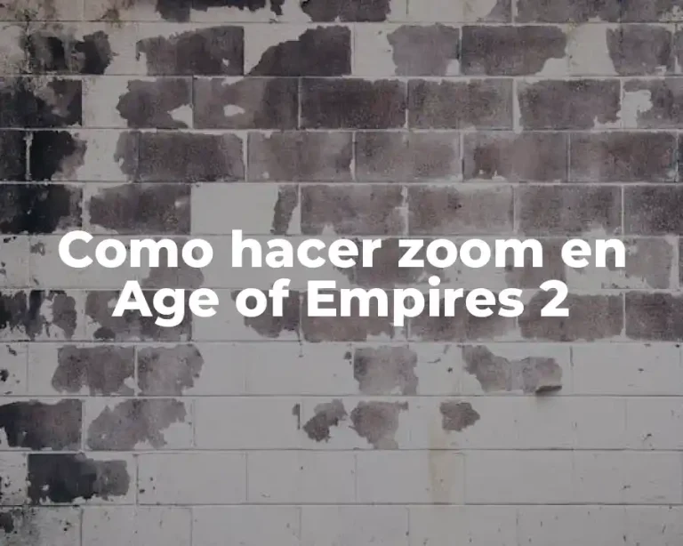 Como hacer zoom en Age of Empires 2