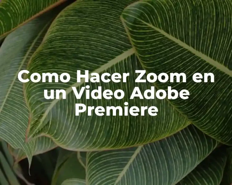Como Hacer Zoom en un Video Adobe Premiere