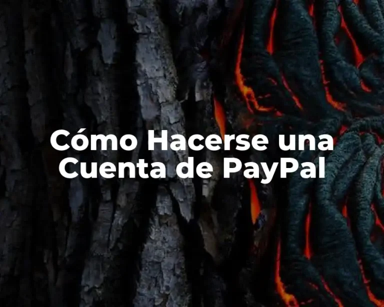 Cómo Hacerse una Cuenta de PayPal