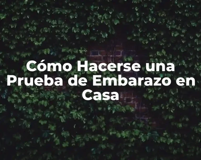 Cómo Hacerse una Prueba de Embarazo en Casa