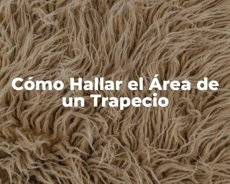 Cómo Hallar el Área de un Trapecio
