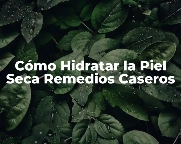 Cómo Hidratar la Piel Seca Remedios Caseros