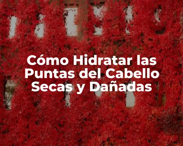 Cómo Hidratar las Puntas del Cabello Secas y Dañadas