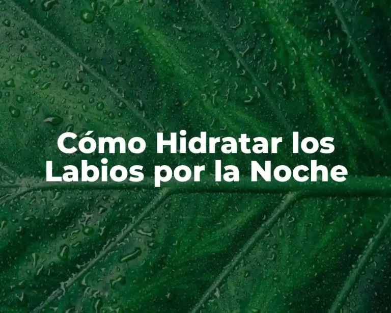 Cómo Hidratar los Labios por la Noche