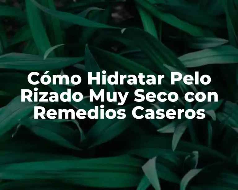 Cómo Hidratar Pelo Rizado Muy Seco con Remedios Caseros