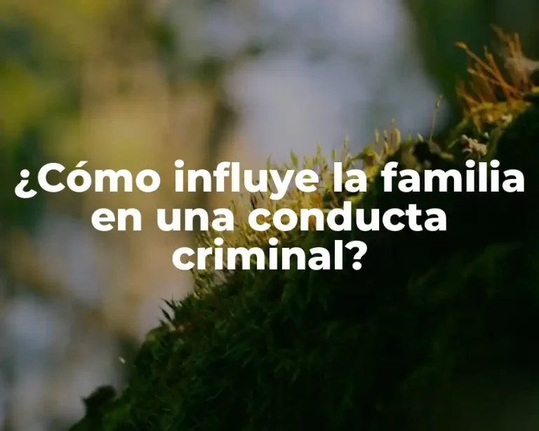 ¿Cómo influye la familia en una conducta criminal?