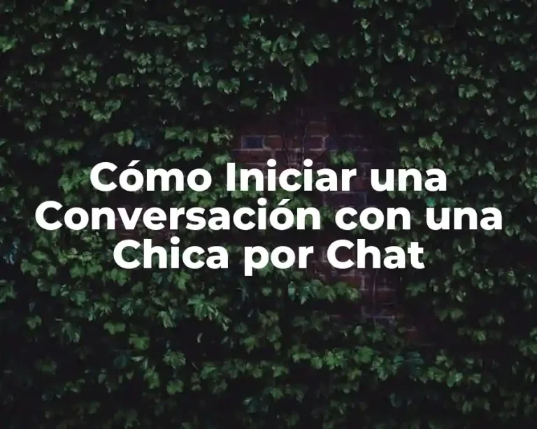 Cómo Iniciar una Conversación con una Chica por Chat